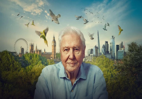 Why Sir David Attenborough Wouldn’t Live Anywhere Else but London